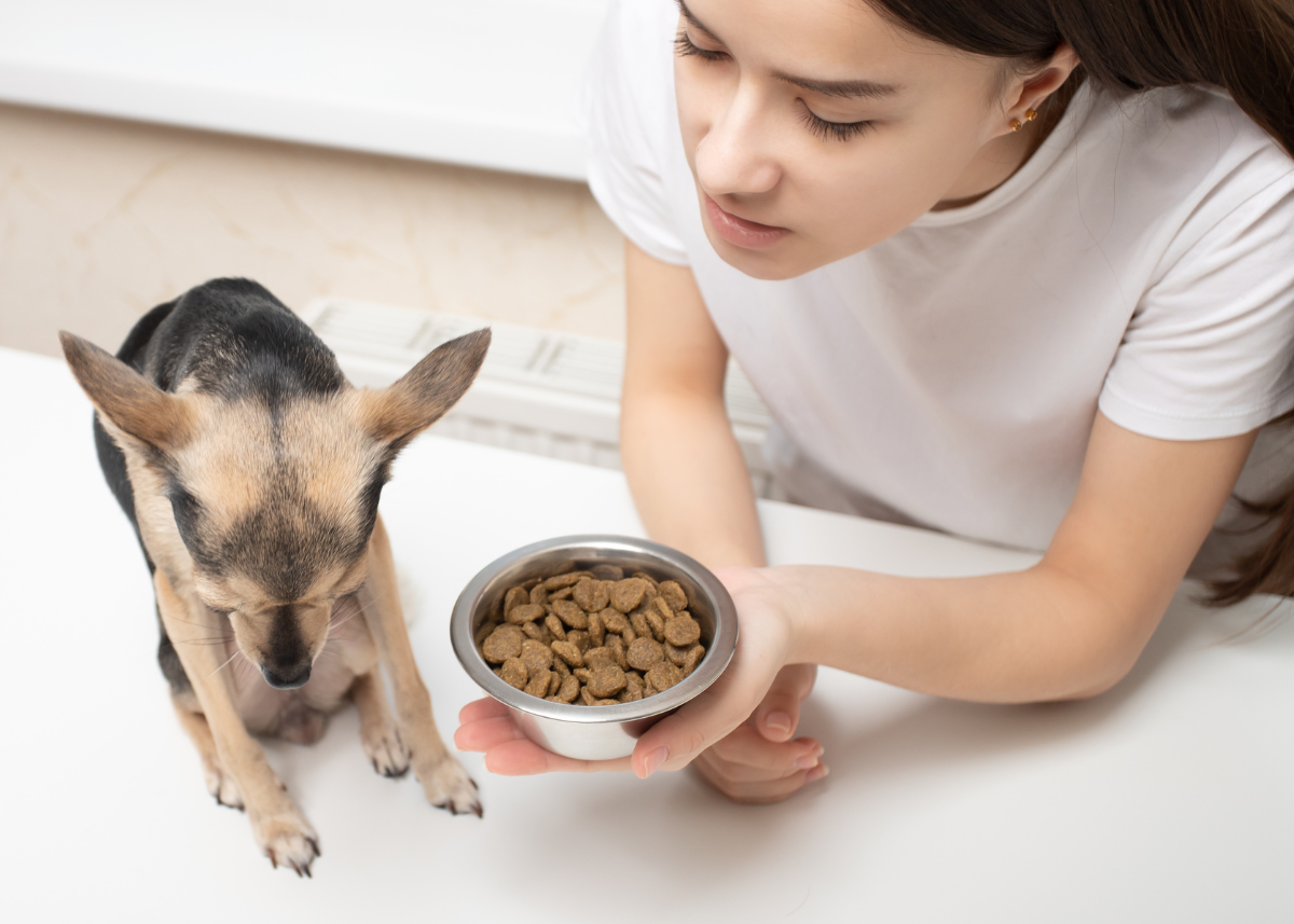 What to feed a fussy clearance dog