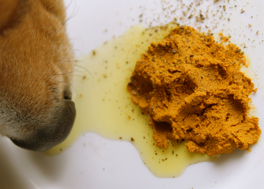 Golden paste for dogs