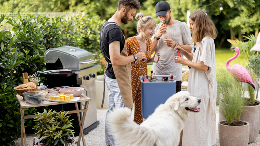 5 Steps to Host a Dog-Friendly Christmas BBQ