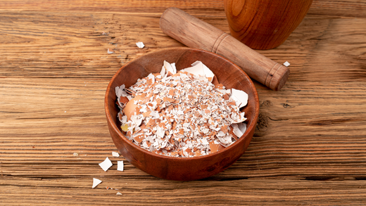 Can Dogs Eat Eggshells? Discover the Nutritional Power of Eggshell Powder!