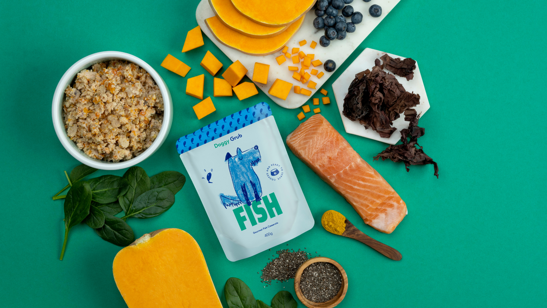 Introducing Doggy Grub’s New Hypoallergenic Fish Casserole: The Meal Your Dog Deserves