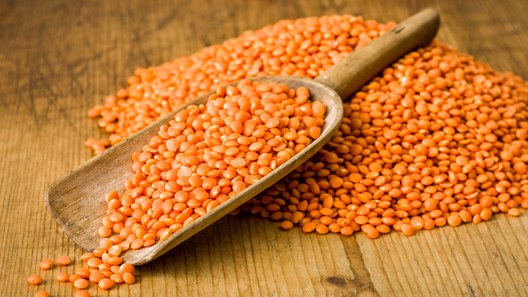 Unveiling the Power of Red Lentils: A Superfood for Your Dog!