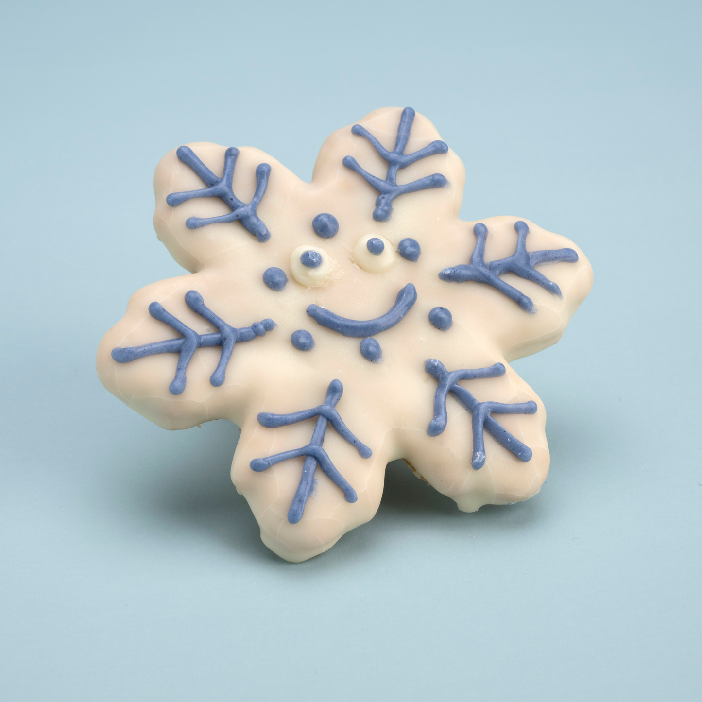 Snow Flake Christmas Bikkie