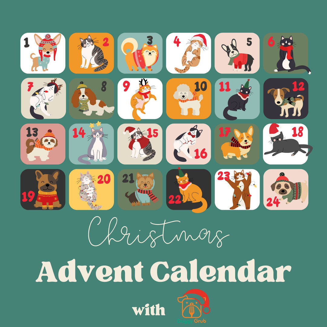 Charity Advent Calendar | Digital